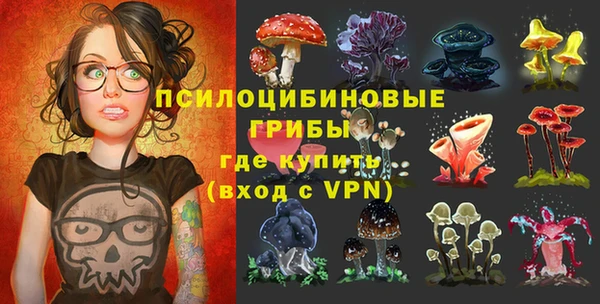 spice Горняк