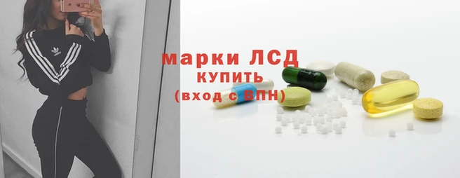 spice Горняк