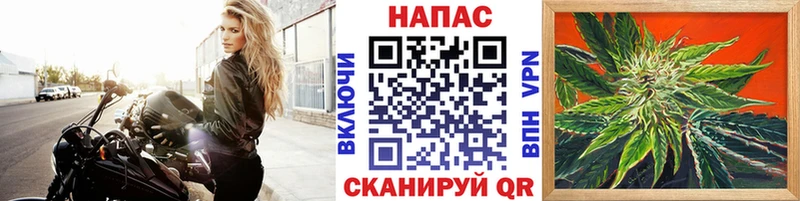 Купить закладки  Чердынь  Каннабис OG Kush 